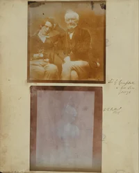Büste der Venus